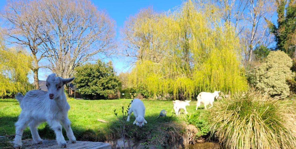 Le Domaine Des Sources Bed & Breakfast Landevant Luaran gambar