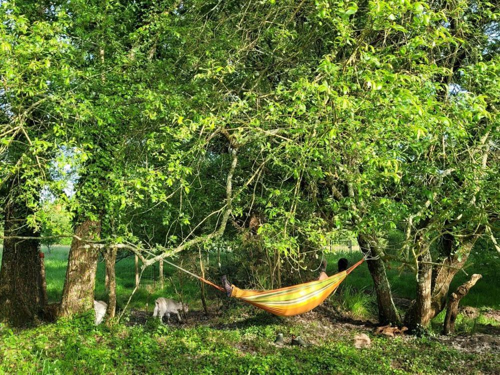 Le Domaine Des Sources Bed & Breakfast Landevant Luaran gambar