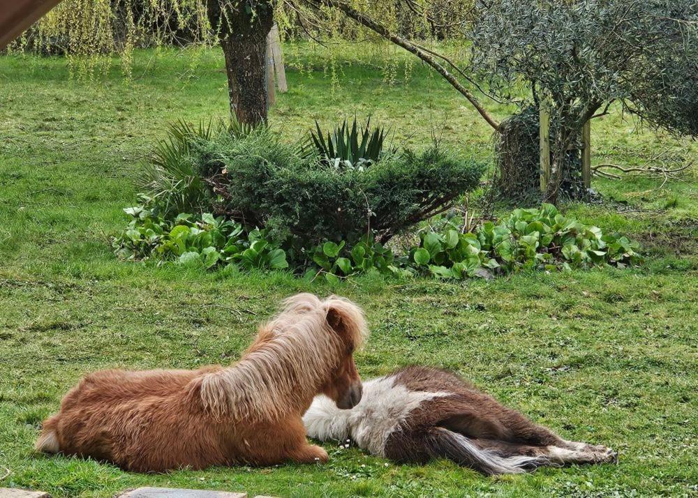 Le Domaine Des Sources Bed & Breakfast Landevant Luaran gambar